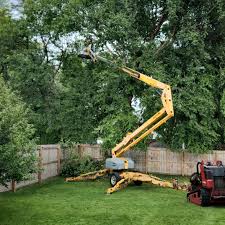 Best Lawn Maintenance Plans  in Enlow, PA