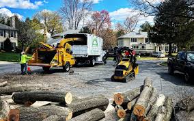 Best Arborist Consultation Services  in Enlow, PA