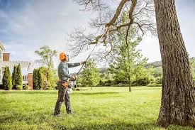 Best Emergency Tree Removal  in Enlow, PA