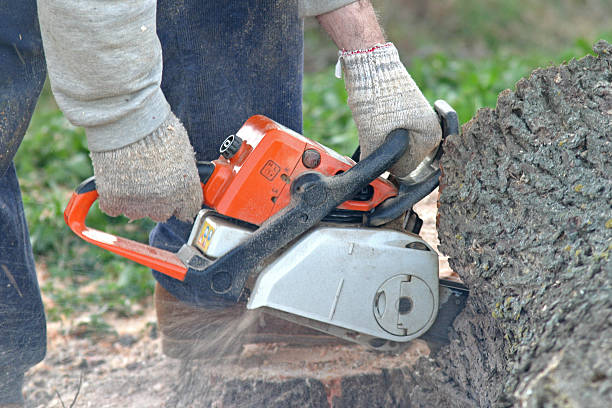 Best Lawn Mowing  in Enlow, PA