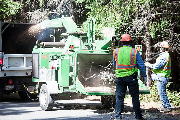 Best Commercial Tree Services  in Enlow, PA